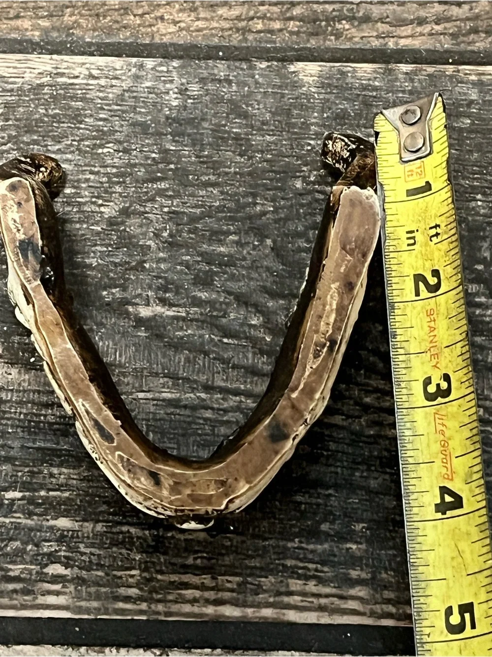 Ceramic jaw decor.